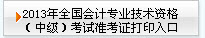 2013м(j)(hu)Ӌ(j)Qԇ(zhn)Cӡ